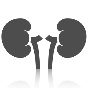 Information Sheet - Darwin Urology